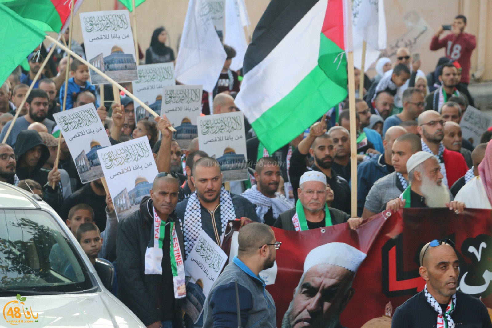 yaffa modahara jeq (94).jpg